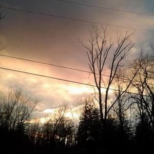 Meet your Posher, Roxanne